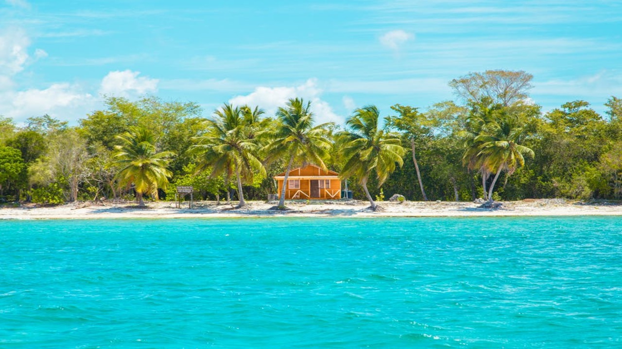Director of Finance – Caribbean